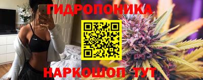 эйфоретик Жуковский