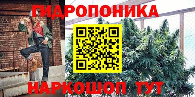 эйфоретик Жуковский